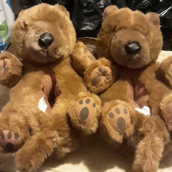 bear slippers